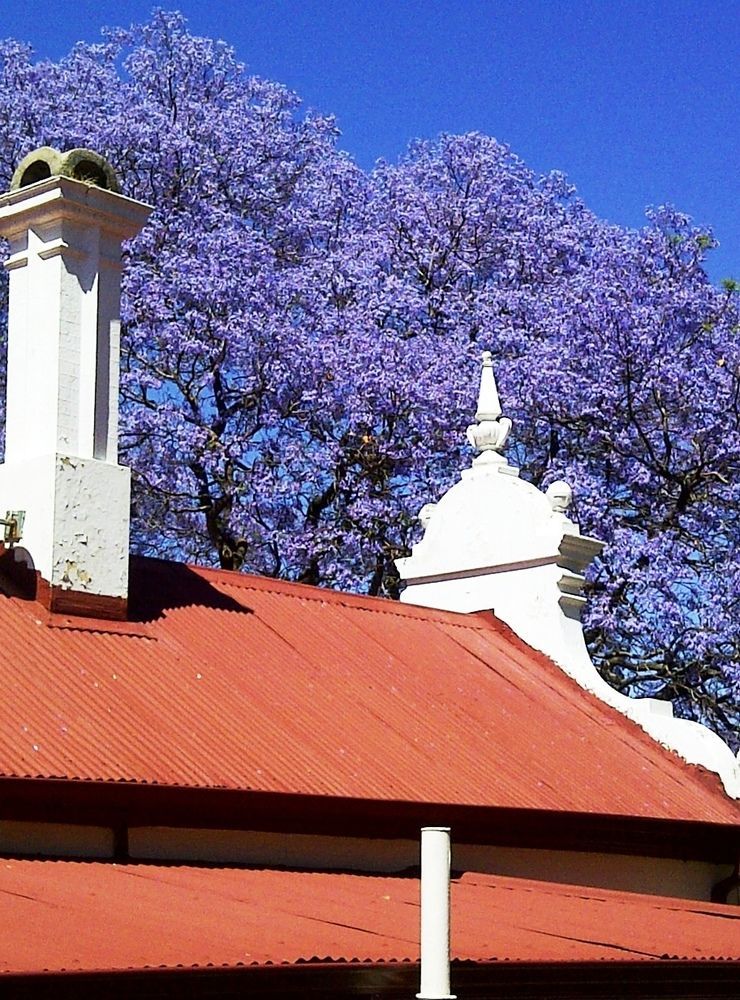 Melvin Residence Guest House Pretoria Exterior photo