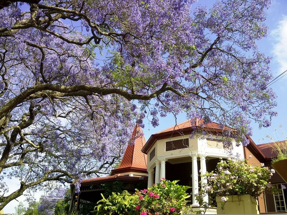 Melvin Residence Guest House Pretoria Exterior photo